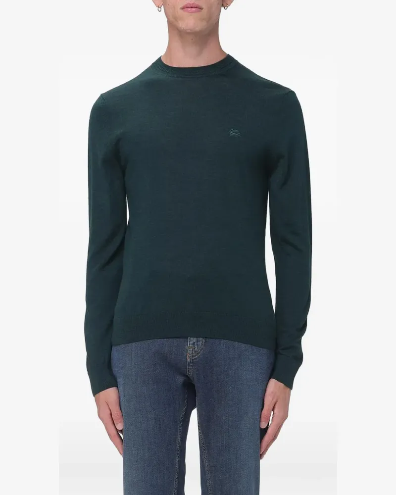 Etro Pullover mit Logo-Stickerei - Grün Grün