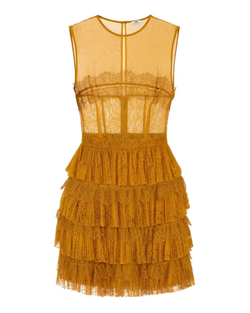 Elisabetta Franchi Minikleid aus Krepp und Blumenspitze - Gelb Gelb