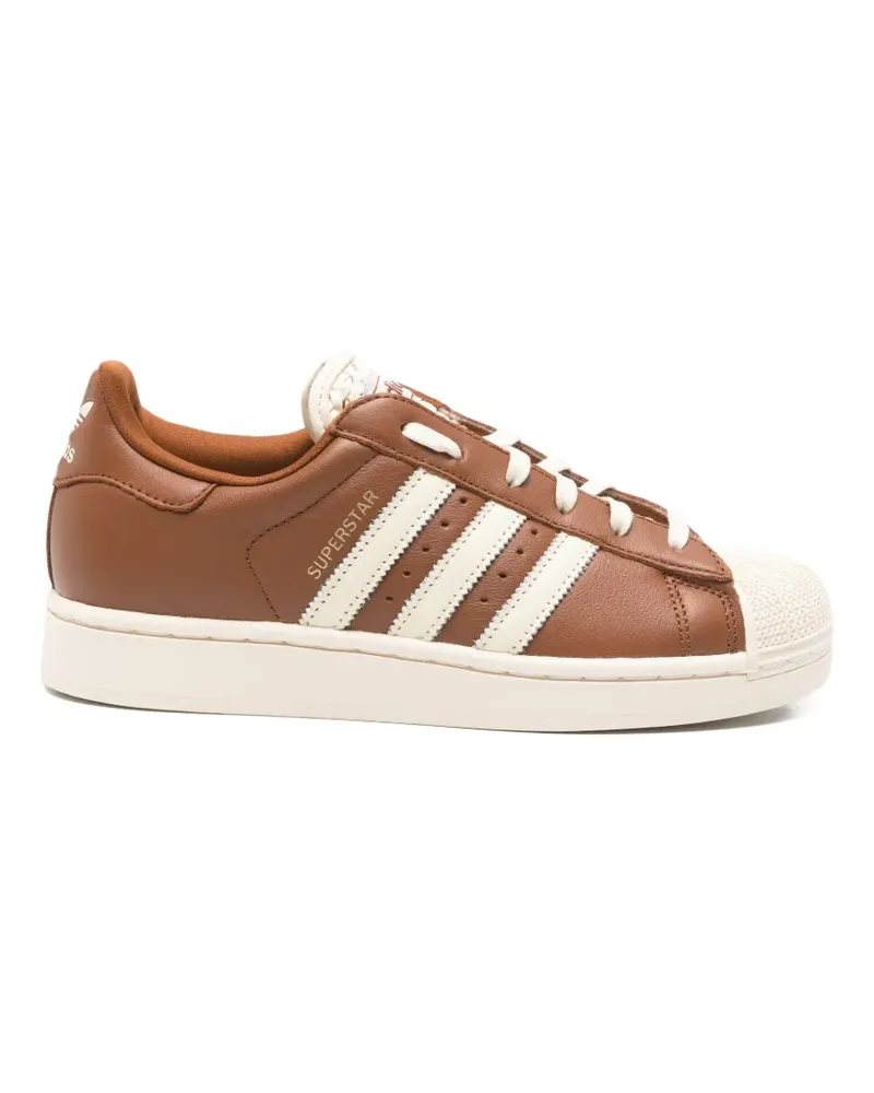 adidas superstar sneakers - Braun Braun
