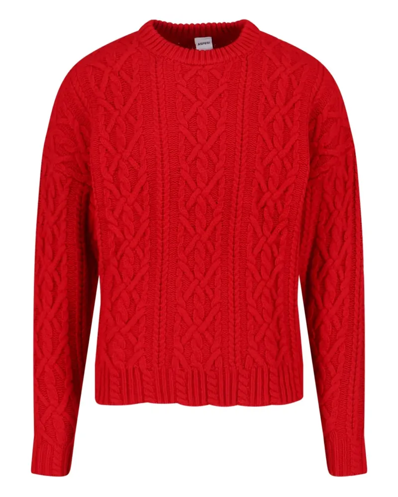 ASPESI cable-knit crew-neck sweater - Rot Rot