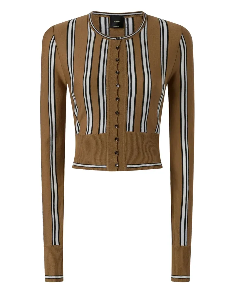 Pinko Gestreifter Cardigan - Braun Braun