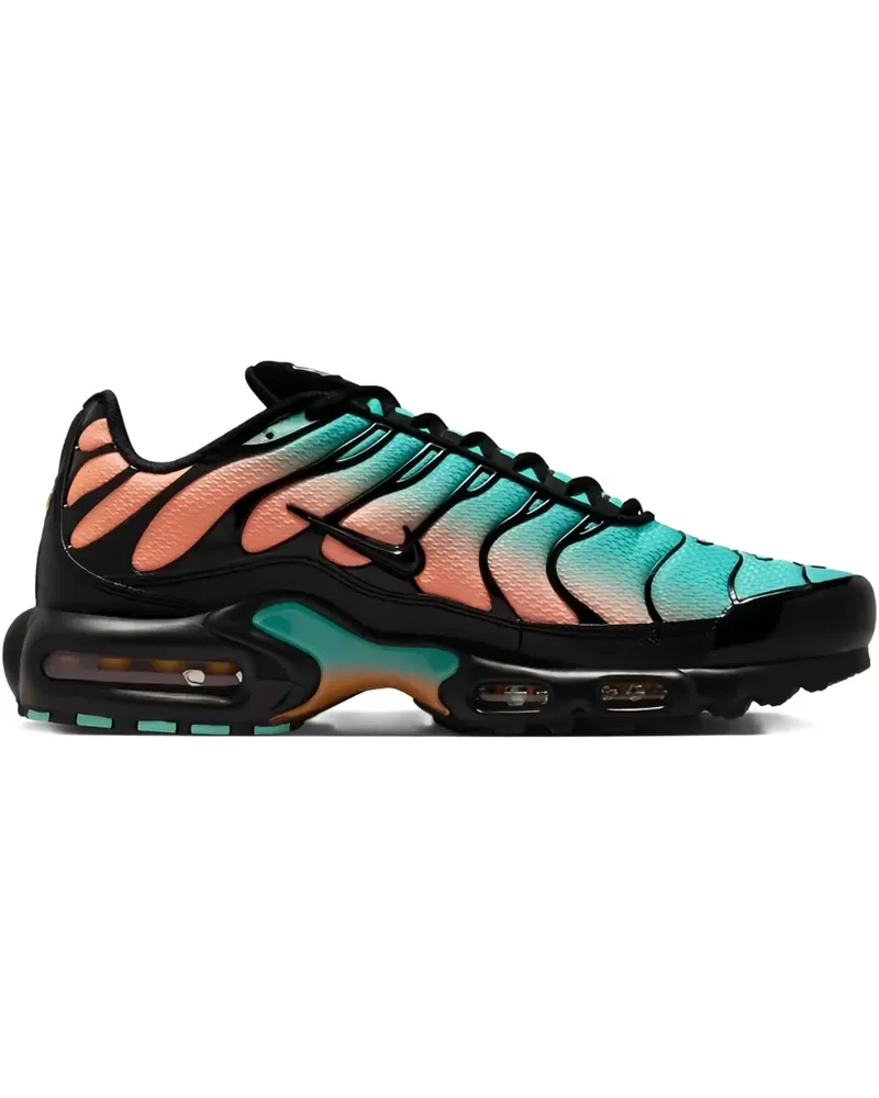 Nike Air Max Plus "Blue" Sneakers - Schwarz Schwarz