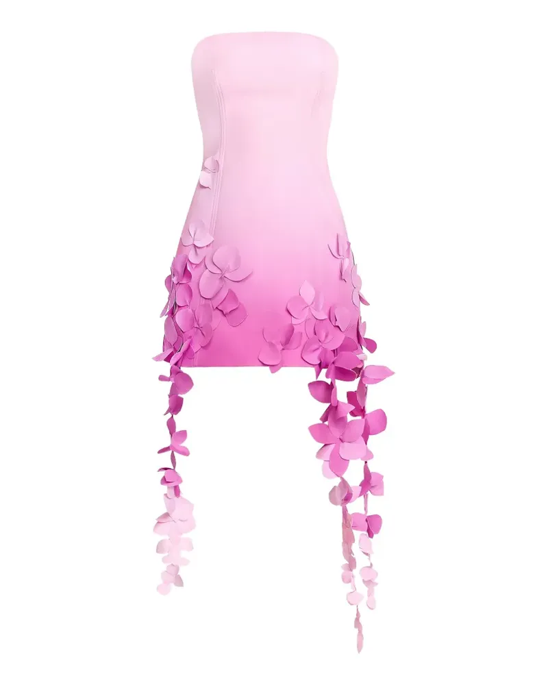 Acler Sandia floral-appliqué mini dress - Rosa Rosa