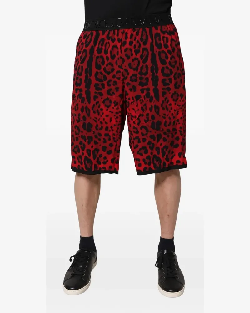 Dolce & Gabbana leopard-print logo-waistband track shorts - Rot Rot