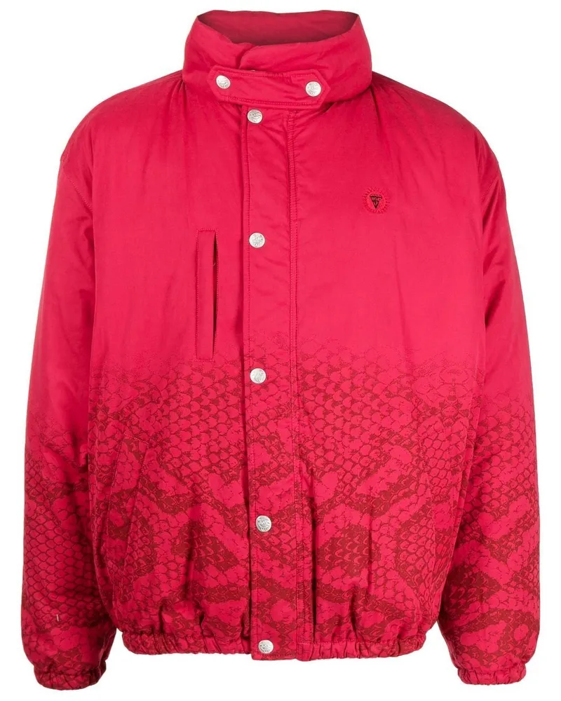 ICECREAM Gefütterte Jacke mit Schlangen-Print - Rosa Rosa