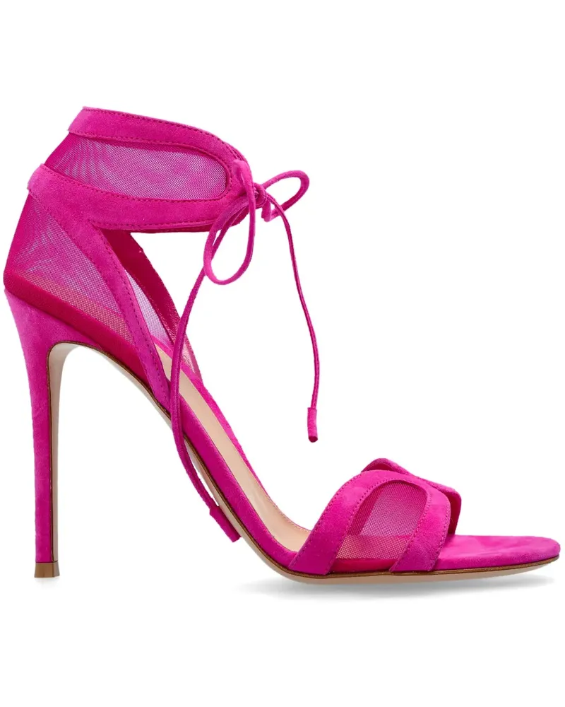 Gianvito Rossi Montecarlo Sandalen - Rosa Rosa