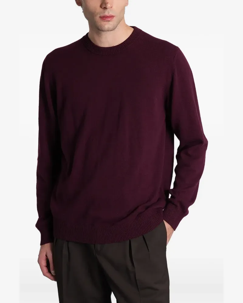 Alpha Studio ribbed-trim sweater - Violett Violett