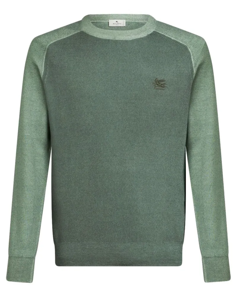 Etro Pullover mit Pegaso-Stickerei - Grün Grün