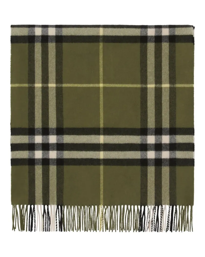 Burberry Karierter Schal mit Fransen - Grün Grün