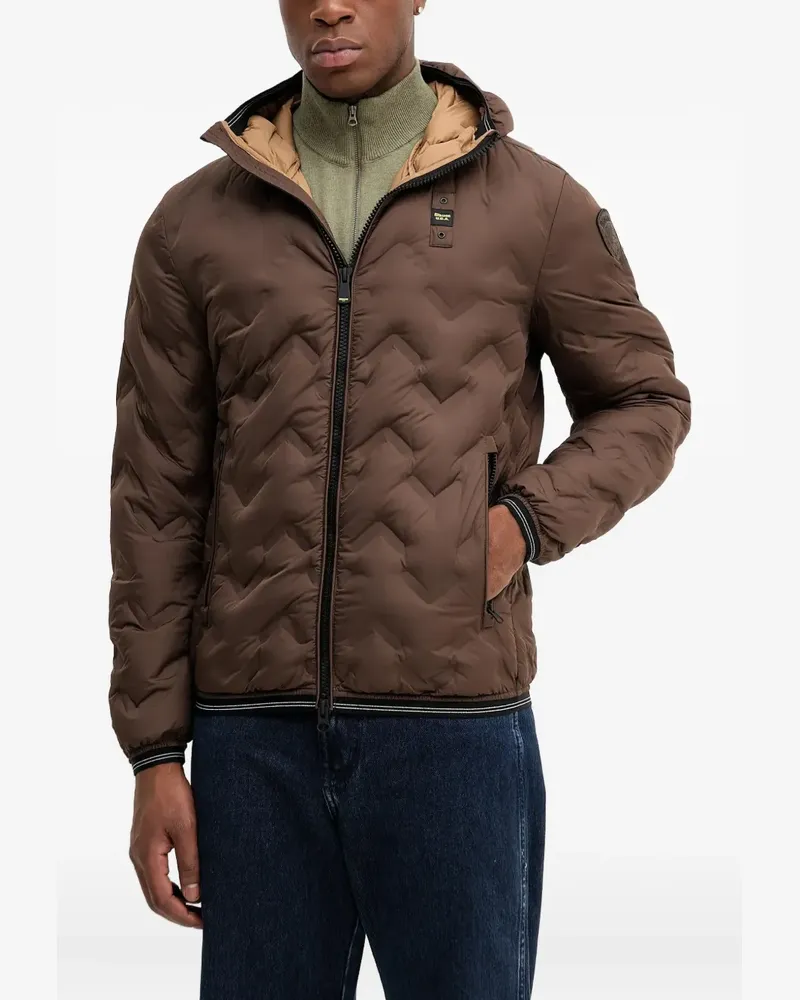 Blauer padded hooded Jacket - Braun Braun