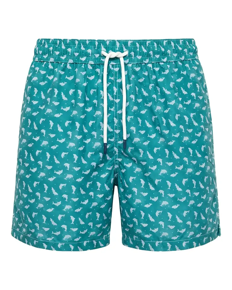Fedeli Madeira Badeshorts mit Delfin-Print - Grün Grün