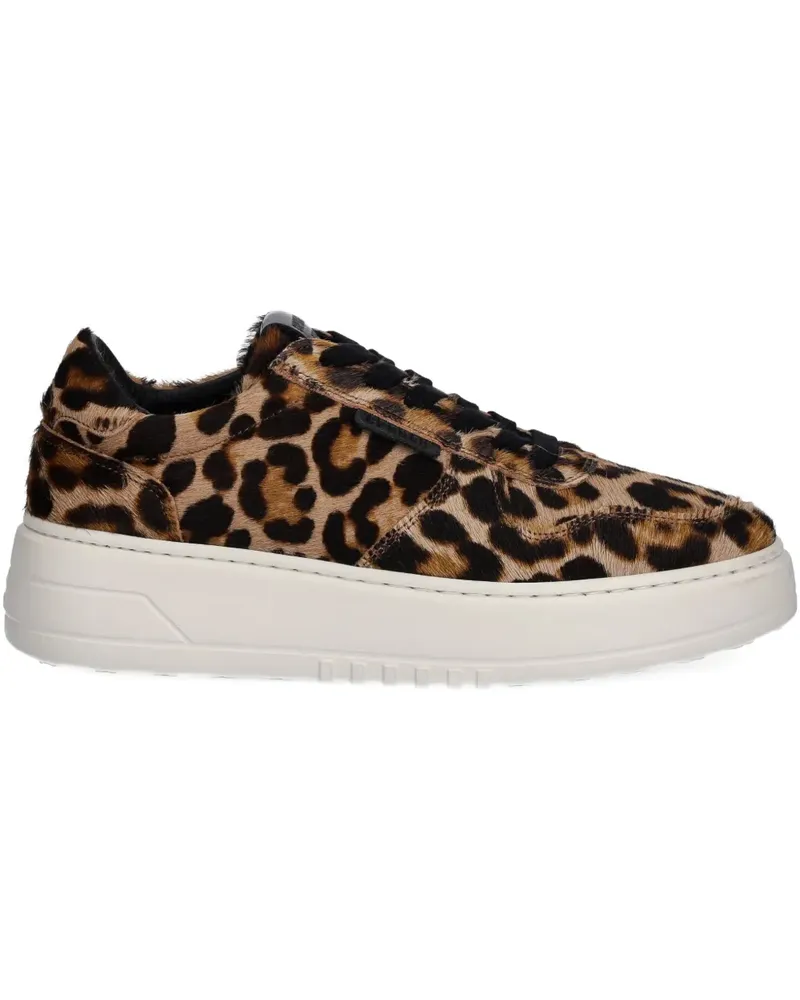 Copenhagen leopard-print sneakers - Braun Braun