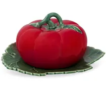 Tomate Butterdose - Rot