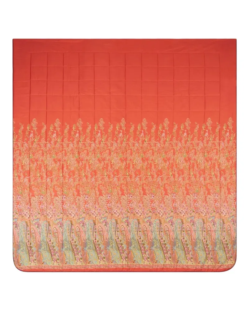 Etro Steppdecke mit Paisley-Print - Orange Orange