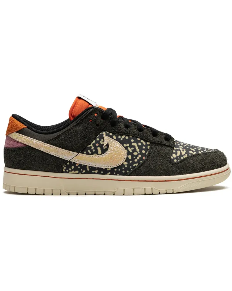 Nike Dunk Low Trout Sneakers - Braun Braun