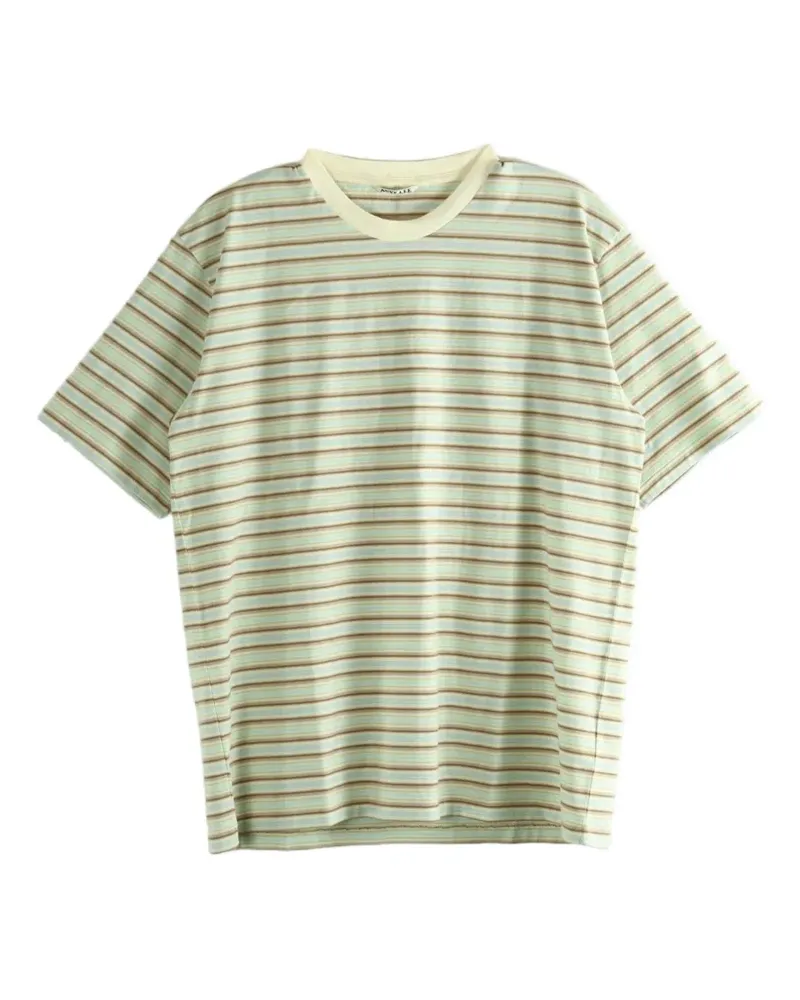 AURALEE Gradient Stripe T-shirt - Grün Grün