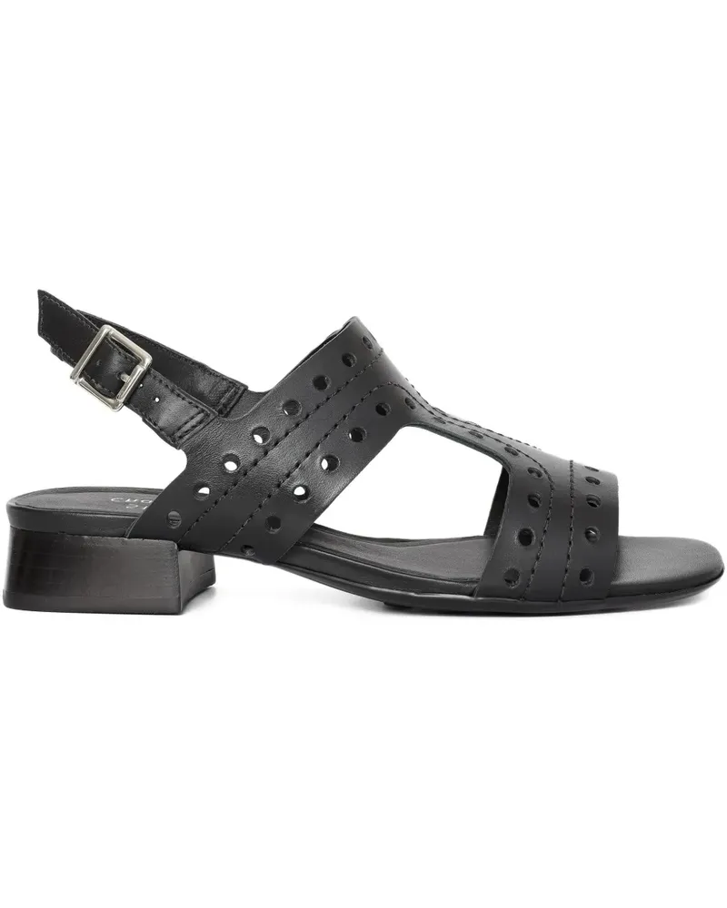 Sarah Chofakian Perforierte Studio 174 Slingback-Sandalen 20mm - Schwarz Schwarz