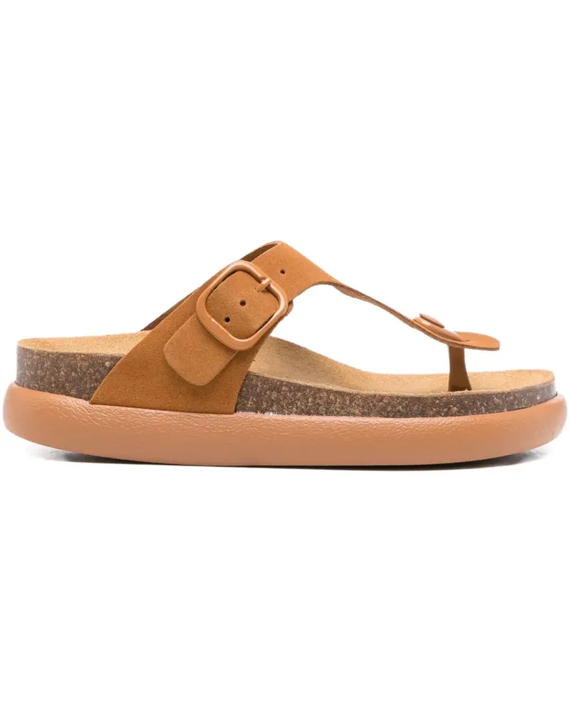 Scholl Sandalen mit Schnallenverschluss - Braun Braun