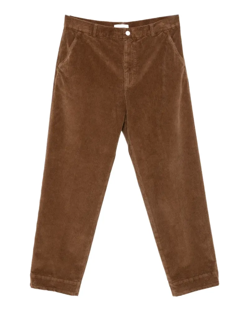 Cellar Door Hose aus Cord - Braun Braun