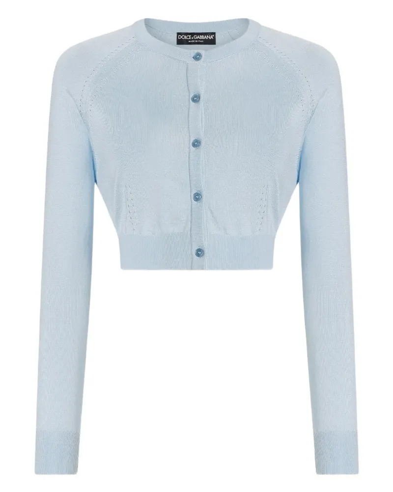 Dolce & Gabbana Klassischer Cardigan - Blau Blau