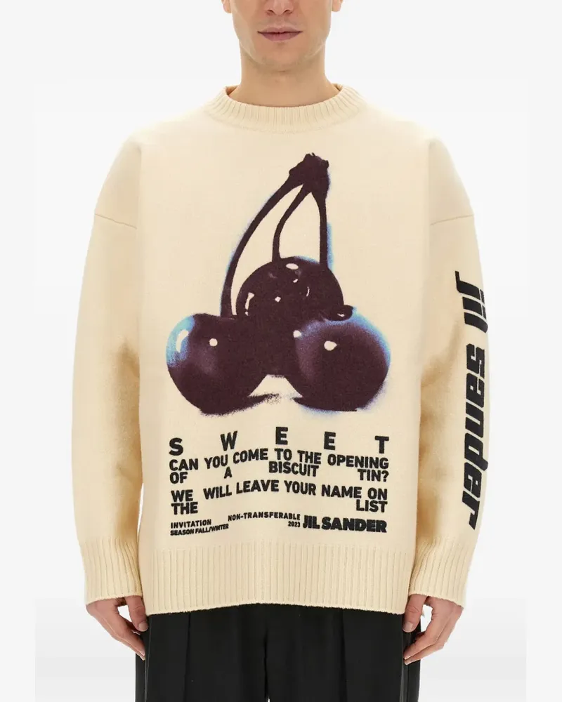 Jil Sander fruit embroidery sweatshirt - Nude Nude