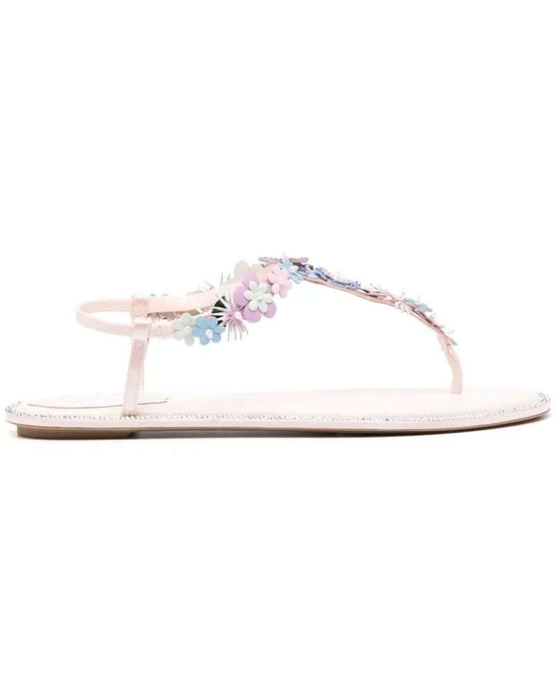 René Caovilla Sandalen mit Blumenapplikation - Rosa Rosa