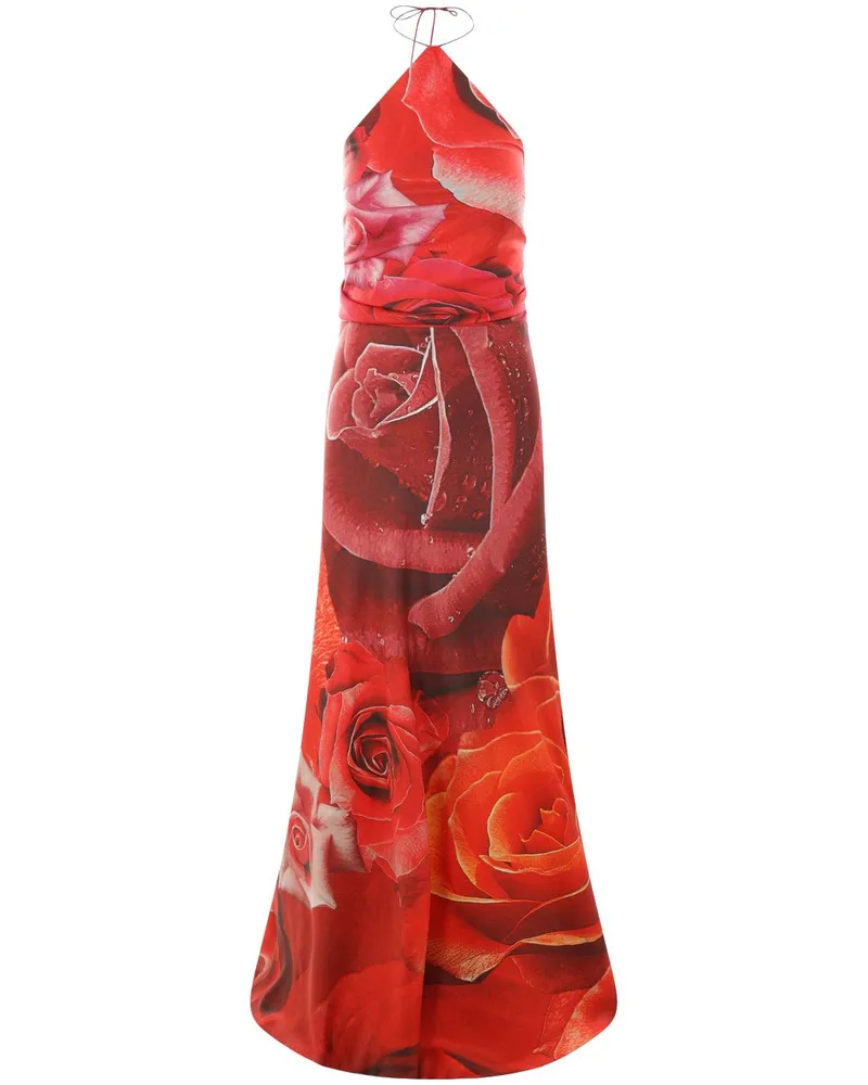 Roberto Cavalli Maxikleid mit Garden Rose-Print - Rot Rot