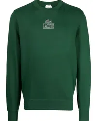 Lacoste Pullover mit Signature-Print Grün