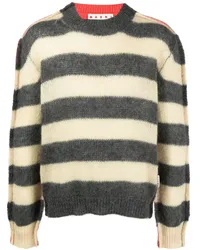 Marni Gestreifter Strickpullover Nude