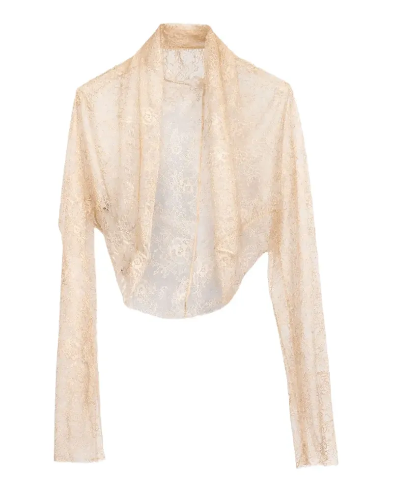 Alberta Ferretti Semi-transparente Jacke mit Spitzeneffekt - Nude Nude