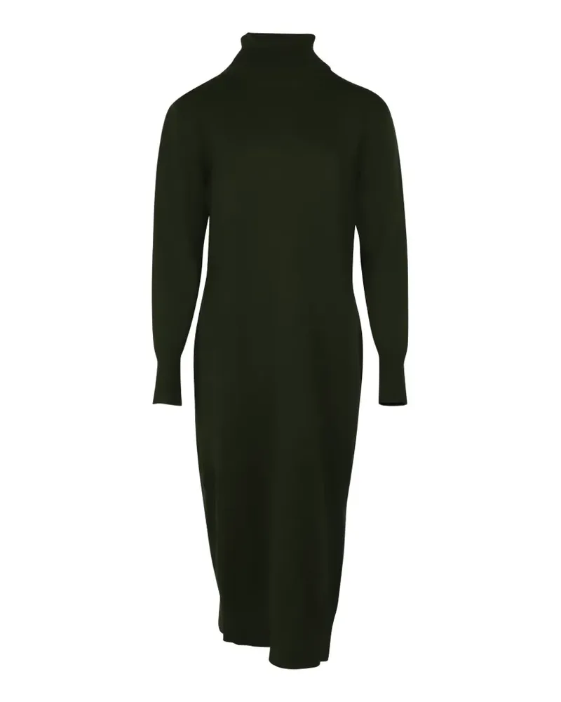 Joseph Sally turtleneck dress - Grün Grün