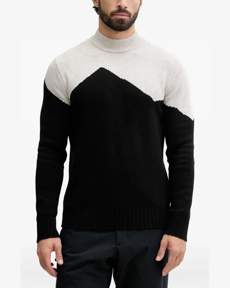 EA7 Rollkragenpullover in Colour-Block-Optik - Schwarz Schwarz