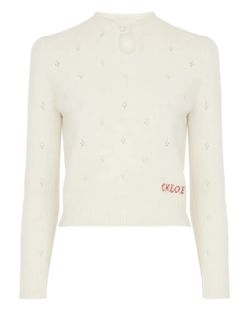 Chloé Pullover mit Stickerei - Nude Nude