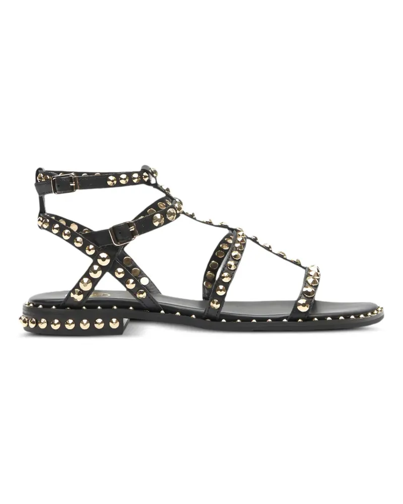 ash stud-embellished sandals - Schwarz Schwarz