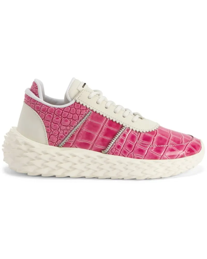 Giuseppe Zanotti Urchin Sneakers - Rosa Rosa