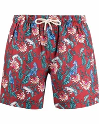 PENINSULA Malindi Badeshorts Rot