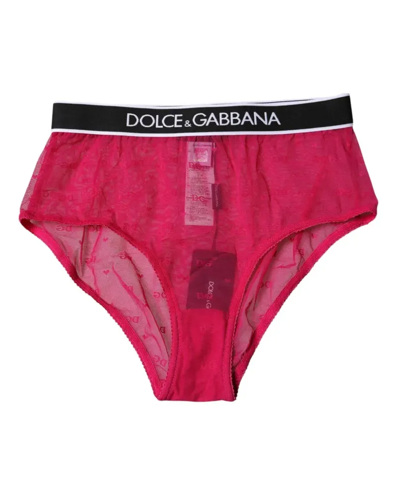Dolce & Gabbana logo-waistband floral-lace panties - Rosa Rosa
