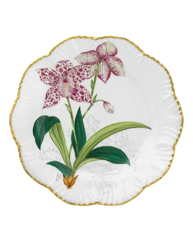 Pinto Paris Histoires D'orchidees Teller 26cm - Weiß Weiß