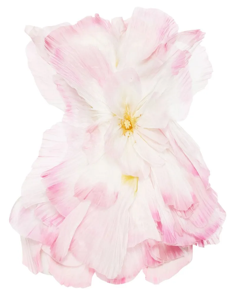 Oscar de la Renta Minikleid mit Blütenapplikation - Rosa Rosa