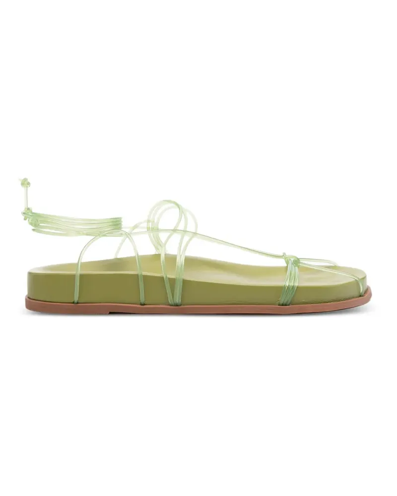 FARM Rio spaghetti jelly sandals - Grün Grün