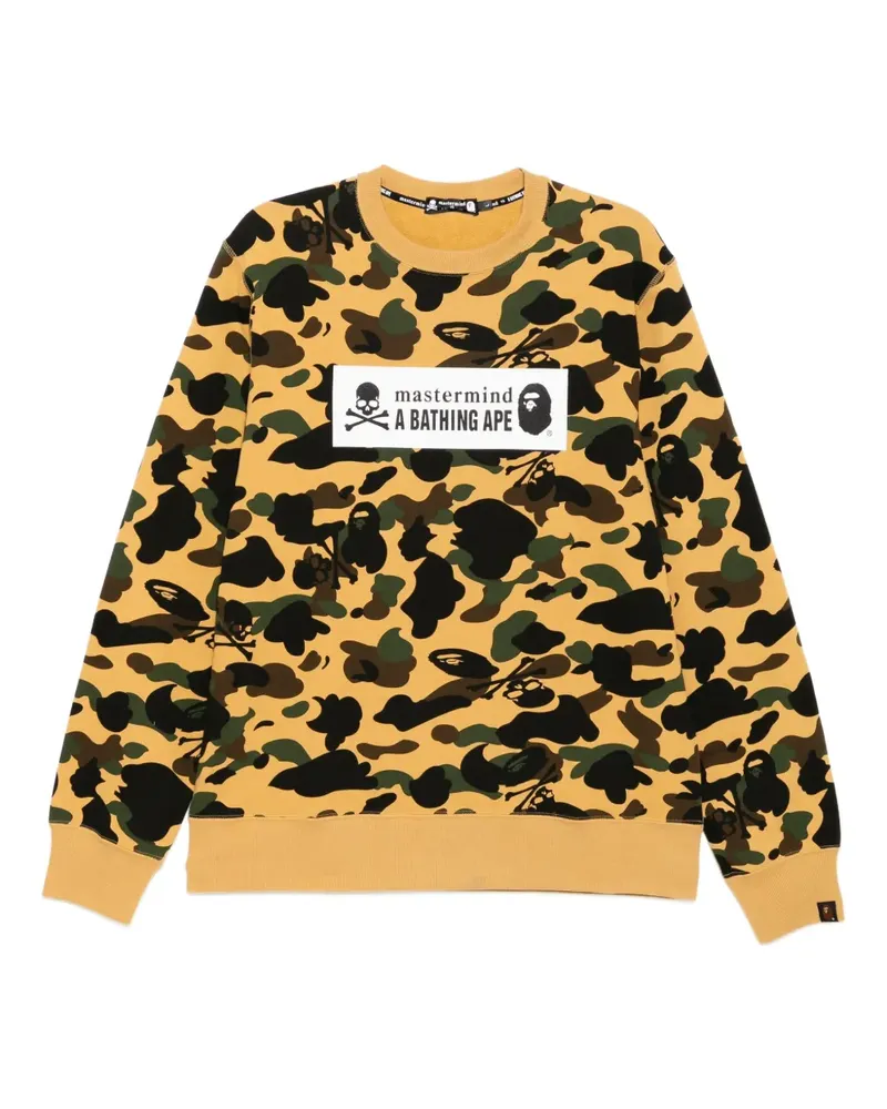 Mastermind Japan x A Bathing Ape Sweatshirt - Braun Braun