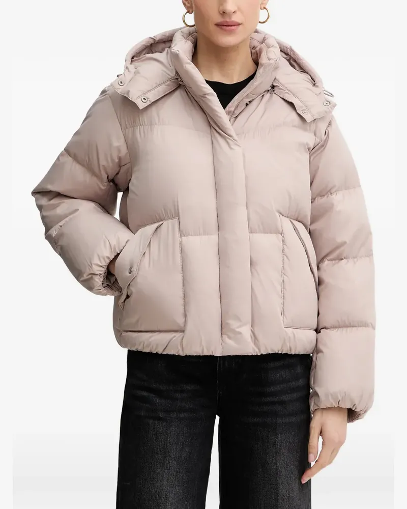Levi's hooded puffer jacket - Rosa Rosa