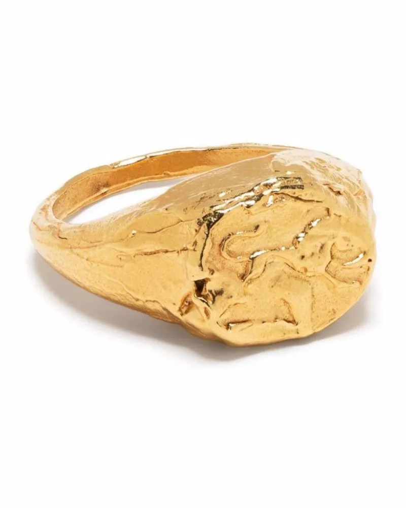 Alighieri Siegelring mit Löwen-Motiv - Gold Gold