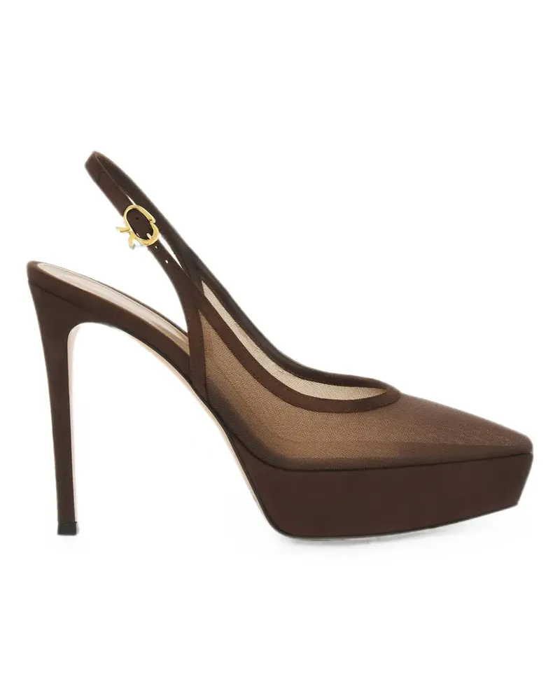 Gianvito Rossi Nikki Plateau-Pumps - Braun Braun