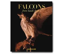 Falcons of Saudi Arabia Buch - Braun