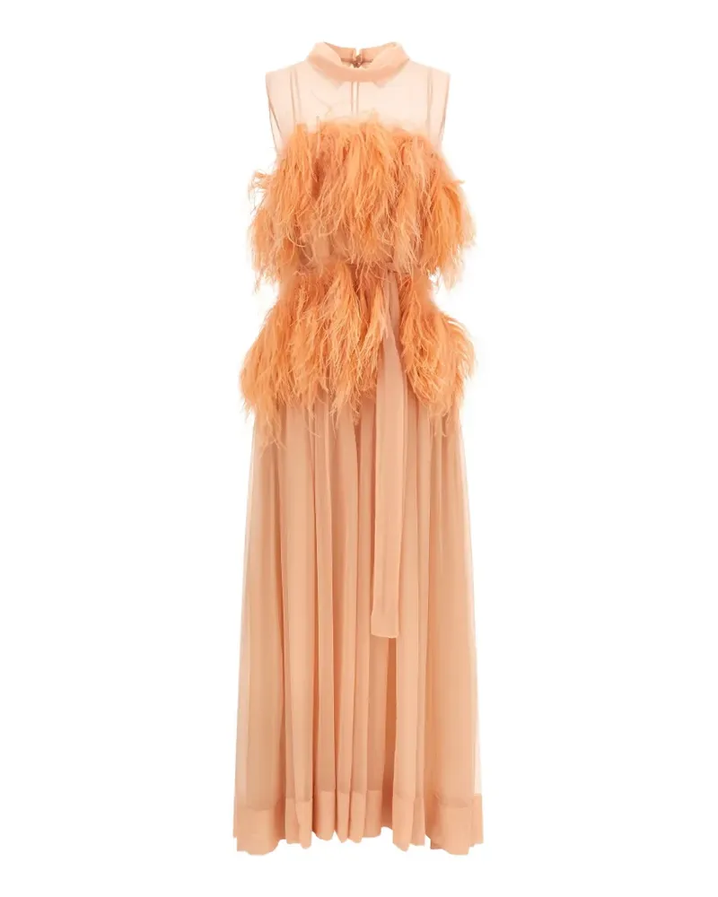 Alberta Ferretti feather-embellished silk maxi dress - Rosa Rosa