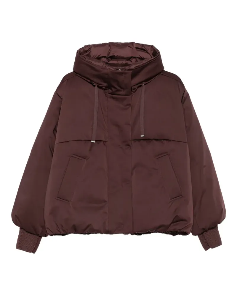 DUNO hooded padded jacket - Braun Braun