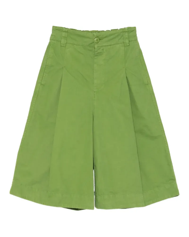 Toogood Explorer pleated shorts - Grün Grün