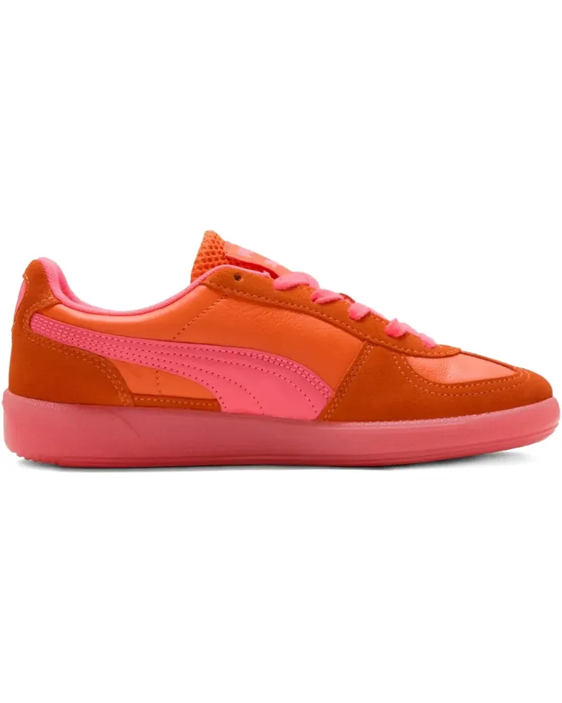 Puma Palermo Citrus Sneakers - Orange Orange