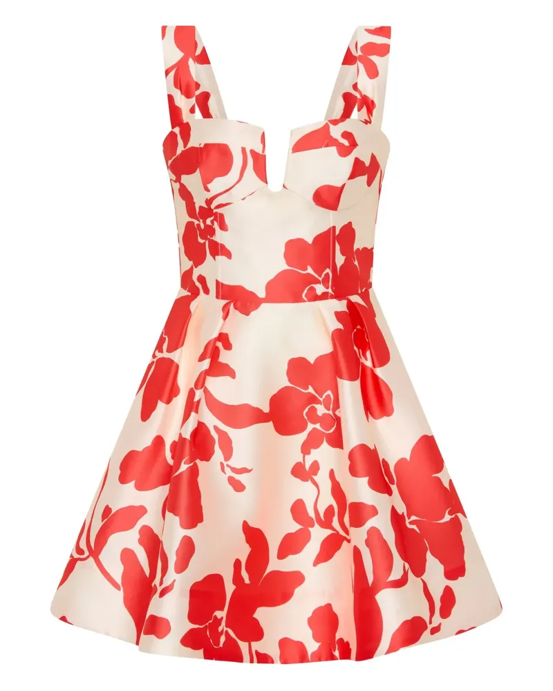 Rebecca Vallance Mayari Minikleid mit Blumen - Nude Nude